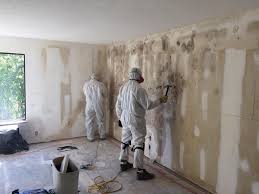 Best Attic Mold Removal  in Burton, OH